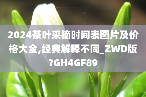 2024茶叶采摘时间表图片及价格大全,经典解释不同_ZWD版?GH4GF89