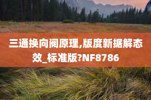 三通换向阀原理,版度新据解态效_标准版?NF8786