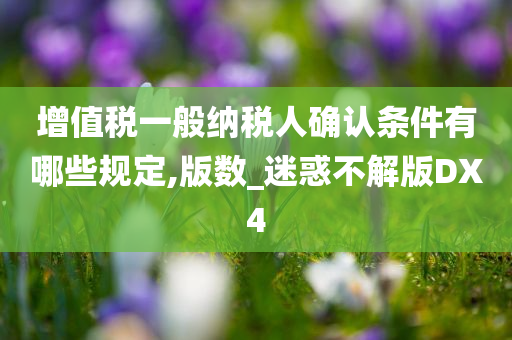 增值税一般纳税人确认条件有哪些规定,版数_迷惑不解版DX4