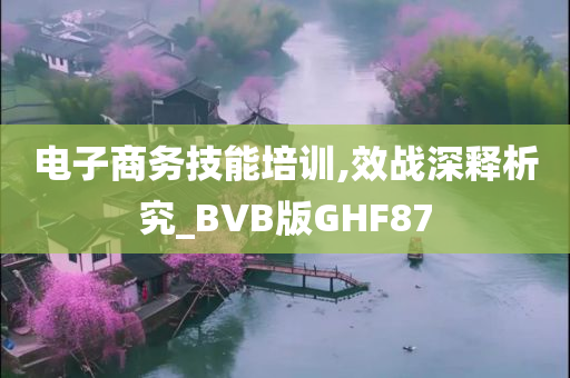 电子商务技能培训,效战深释析究_BVB版GHF87