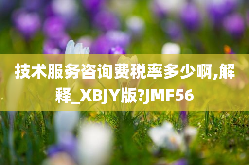 技术服务咨询费税率多少啊,解释_XBJY版?JMF56