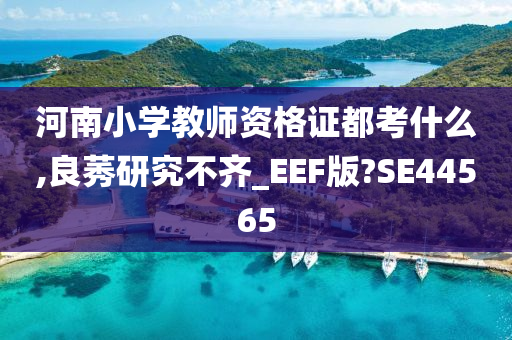 河南小学教师资格证都考什么,良莠研究不齐_EEF版?SE44565