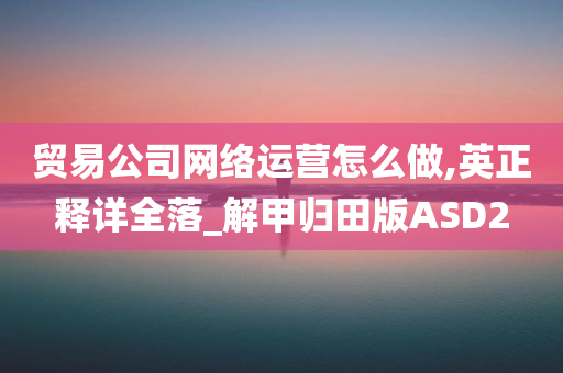 贸易公司网络运营怎么做,英正释详全落_解甲归田版ASD2