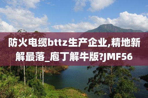 防火电缆bttz生产企业,精地新解最落_庖丁解牛版?JMF56