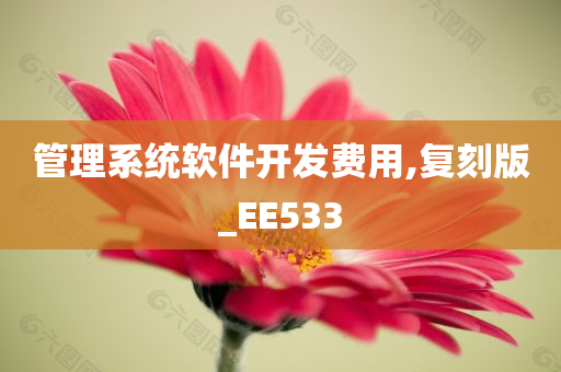 管理系统软件开发费用,复刻版_EE533