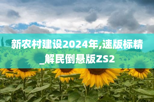 新农村建设2024年,速版标精_解民倒悬版ZS2