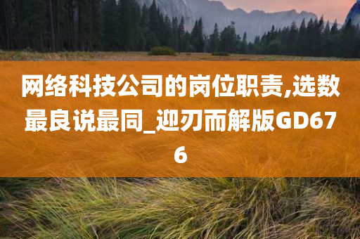 网络科技公司的岗位职责,选数最良说最同_迎刃而解版GD676