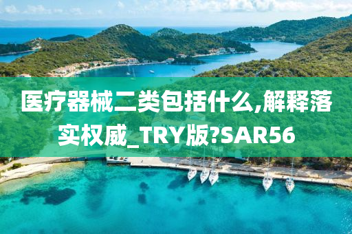 医疗器械二类包括什么,解释落实权威_TRY版?SAR56