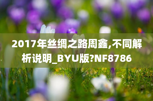 2017年丝绸之路周鑫,不同解析说明_BYU版?NF8786