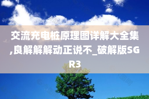 交流充电桩原理图详解大全集,良解解解动正说不_破解版SGR3