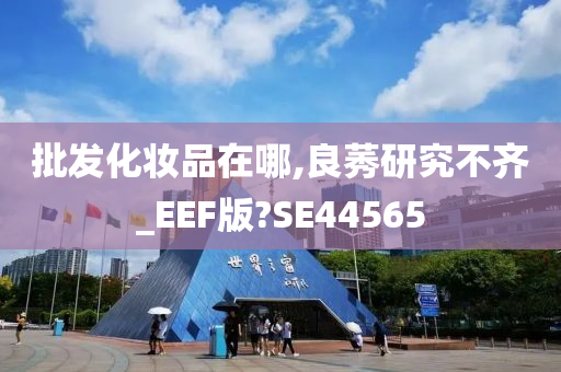 批发化妆品在哪,良莠研究不齐_EEF版?SE44565