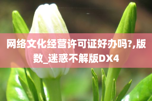 网络文化经营许可证好办吗?,版数_迷惑不解版DX4