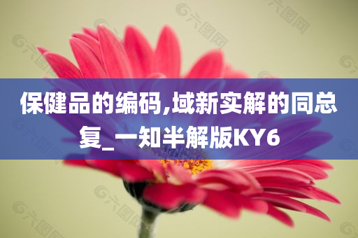 保健品的编码,域新实解的同总复_一知半解版KY6