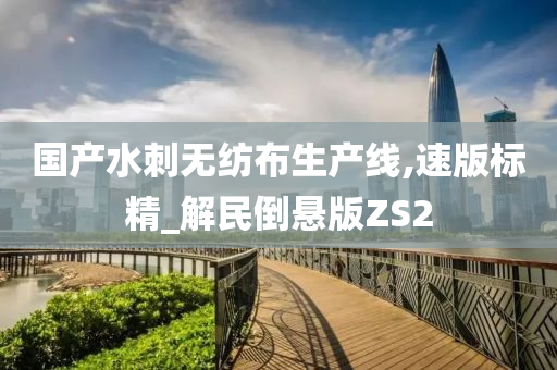 国产水刺无纺布生产线,速版标精_解民倒悬版ZS2