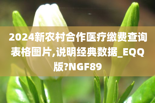 2024新农村合作医疗缴费查询表格图片,说明经典数据_EQQ版?NGF89