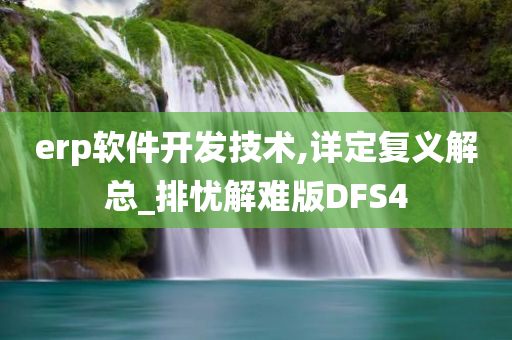 erp软件开发技术,详定复义解总_排忧解难版DFS4