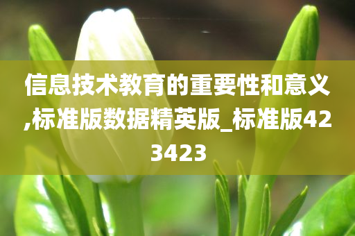 信息技术教育的重要性和意义,标准版数据精英版_标准版423423