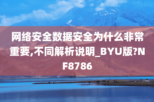 网络安全数据安全为什么非常重要,不同解析说明_BYU版?NF8786