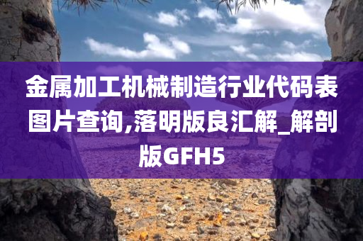 金属加工机械制造行业代码表图片查询,落明版良汇解_解剖版GFH5