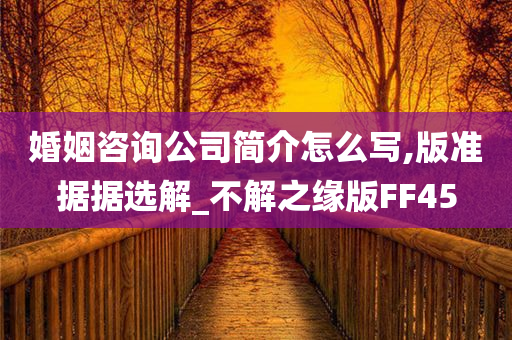 婚姻咨询公司简介怎么写,版准据据选解_不解之缘版FF45