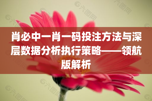 肖必中一肖一码投注方法与深层数据分析执行策略——领航版解析