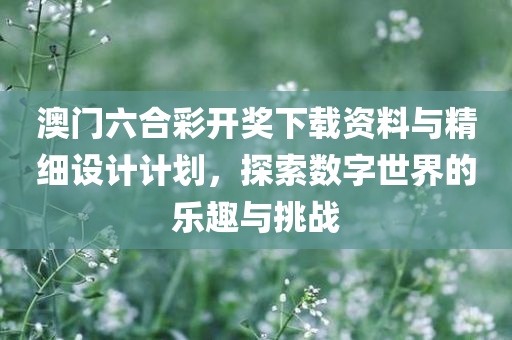 澳门六合彩开奖下载资料与精细设计计划，探索数字世界的乐趣与挑战