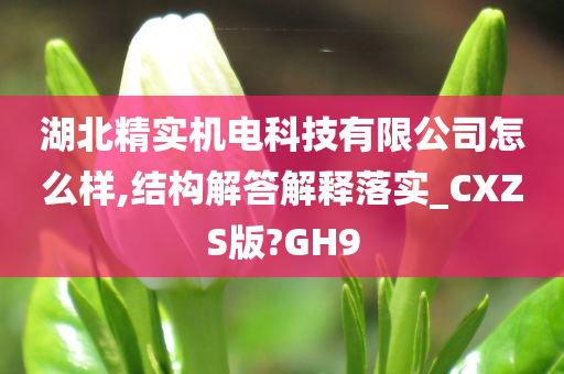 湖北精实机电科技有限公司怎么样,结构解答解释落实_CXZS版?GH9