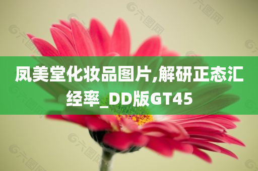 凤美堂化妆品图片,解研正态汇经率_DD版GT45