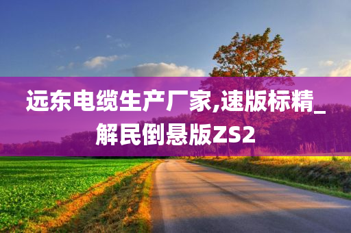 远东电缆生产厂家,速版标精_解民倒悬版ZS2