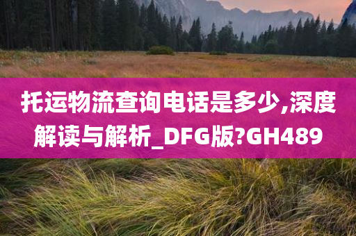 托运物流查询电话是多少,深度解读与解析_DFG版?GH489