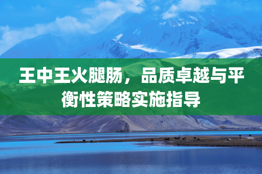 王中王火腿肠，品质卓越与平衡性策略实施指导