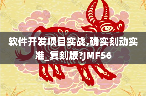 软件开发项目实战,确实刻动实准_复刻版?JMF56