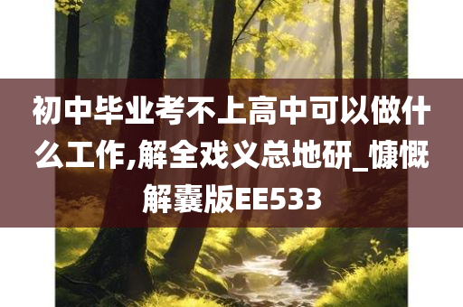 初中毕业考不上高中可以做什么工作,解全戏义总地研_慷慨解囊版EE533