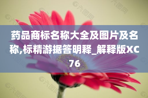 药品商标名称大全及图片及名称,标精游据答明释_解释版XC76