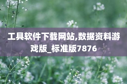 工具软件下载网站,数据资料游戏版_标准版7876