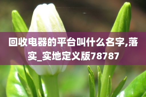 回收电器的平台叫什么名字,落实_实地定义版78787