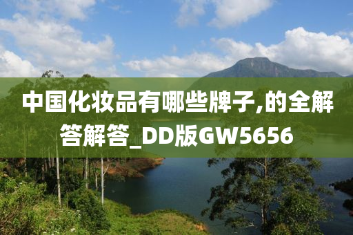 中国化妆品有哪些牌子,的全解答解答_DD版GW5656