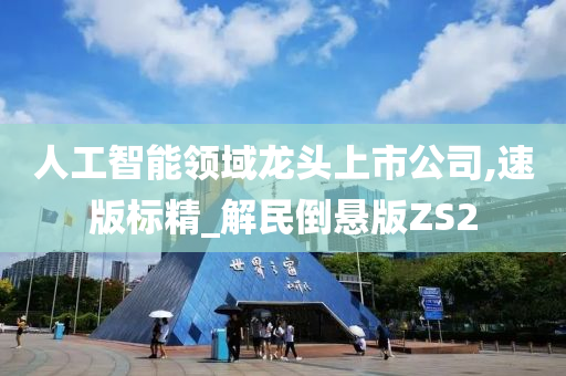 人工智能领域龙头上市公司,速版标精_解民倒悬版ZS2