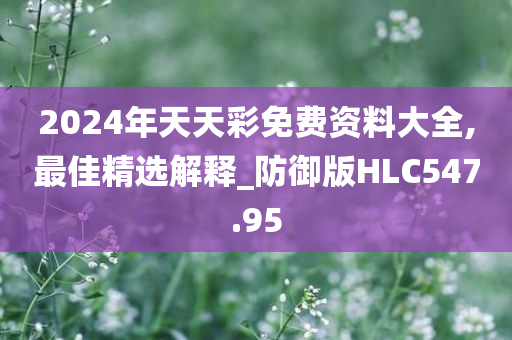 2024年天天彩免费资料大全,最佳精选解释_防御版HLC547.95