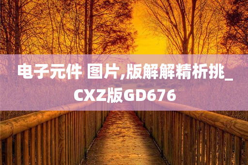 电子元件 图片,版解解精析挑_CXZ版GD676