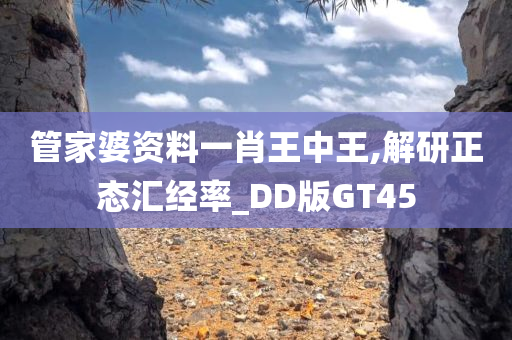 管家婆资料一肖王中王,解研正态汇经率_DD版GT45