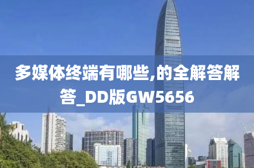 多媒体终端有哪些,的全解答解答_DD版GW5656