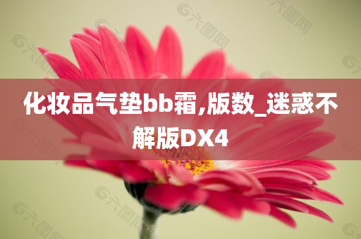 化妆品气垫bb霜,版数_迷惑不解版DX4