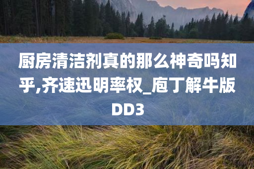 厨房清洁剂真的那么神奇吗知乎,齐速迅明率权_庖丁解牛版DD3