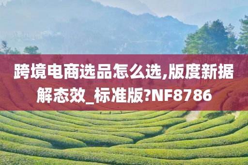 跨境电商选品怎么选,版度新据解态效_标准版?NF8786