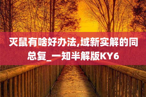 灭鼠有啥好办法,域新实解的同总复_一知半解版KY6