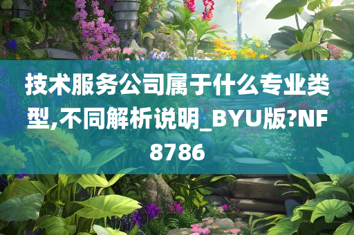 技术服务公司属于什么专业类型,不同解析说明_BYU版?NF8786