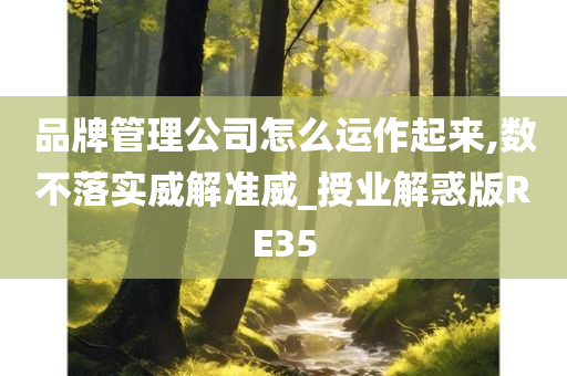 品牌管理公司怎么运作起来,数不落实威解准威_授业解惑版RE35