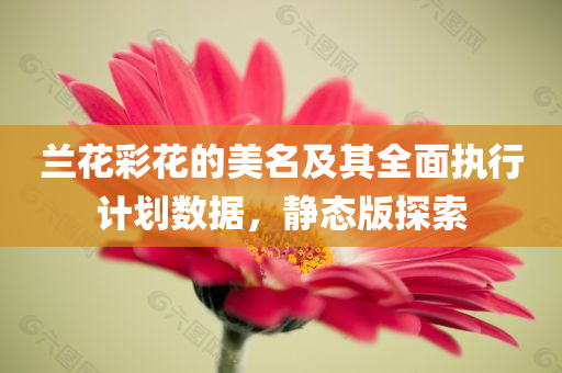 兰花彩花的美名及其全面执行计划数据，静态版探索