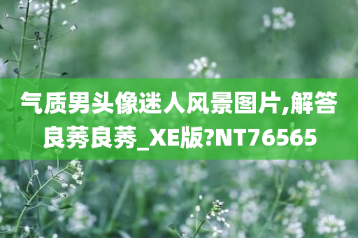 气质男头像迷人风景图片,解答良莠良莠_XE版?NT76565